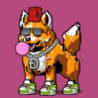 DogePunks #2170