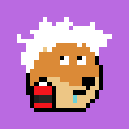 Dogepunk #1912