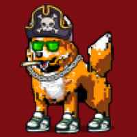 DogePunks #1300