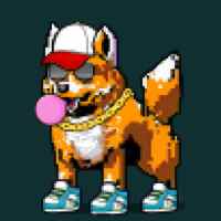 DogePunks #3358
