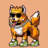 DogePunks #2592