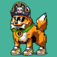 DogePunks #2262