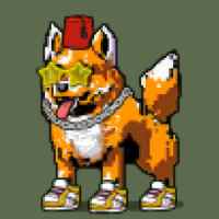 DogePunks #1516