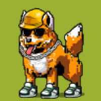 DogePunks #2096