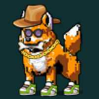 DogePunks #879