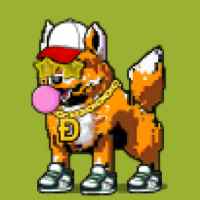DogePunks #3828