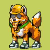 DogePunks #685