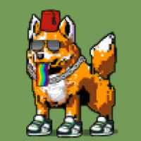 DogePunks #2244