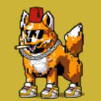 DogePunks #4074