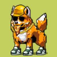 DogePunks #1112