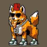 DogePunks #2570
