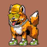 DogePunks #1842