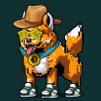 DogePunks #1491