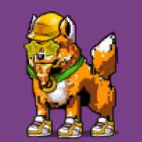 DogePunks #3662