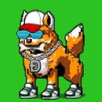 DogePunks #558