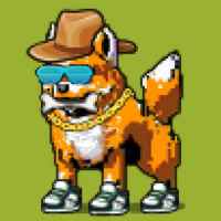 DogePunks #1419