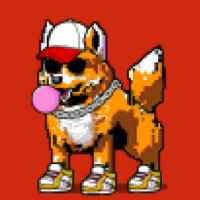 DogePunks #3498
