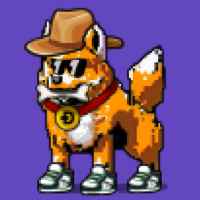 DogePunks #4914