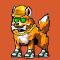 DogePunks #1776