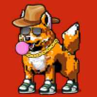DogePunks #1236