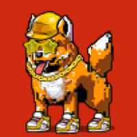 DogePunks #2338
