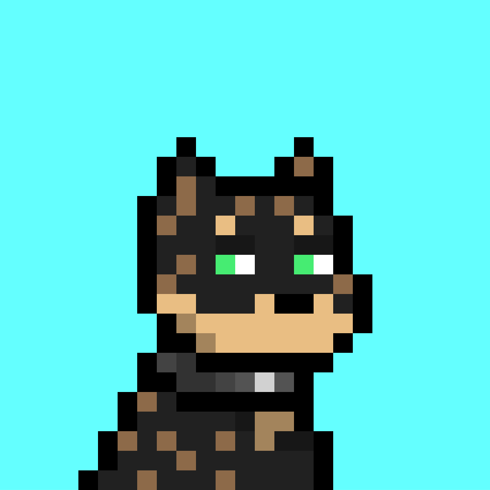 Doginal Dog #8773