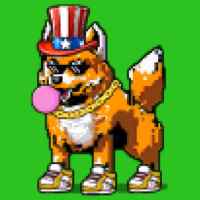 DogePunks #4240