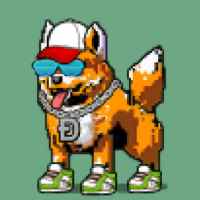 DogePunks #951