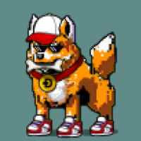DogePunks #434