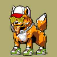 DogePunks #1208