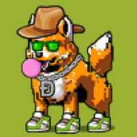 DogePunks #857