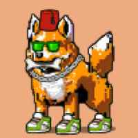 DogePunks #321