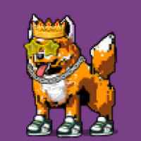 DogePunks #1501