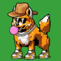 DogePunks #635