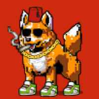 DogePunks #2885