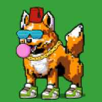 DogePunks #346