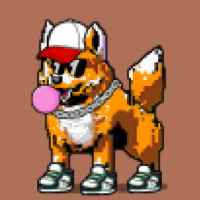 DogePunks #3260