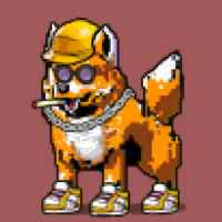 DogePunks #807