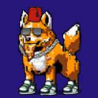 DogePunks #240