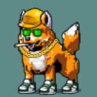 DogePunks #4273