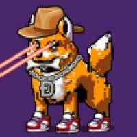 DogePunks #3585