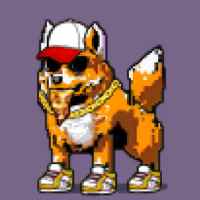 DogePunks #1353