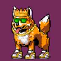DogePunks #350