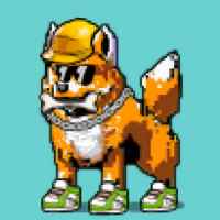 DogePunks #509