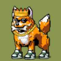 DogePunks #552