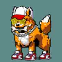 DogePunks #3221