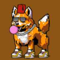 DogePunks #3023