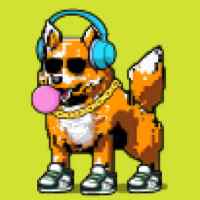 DogePunks #1138