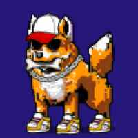 DogePunks #382