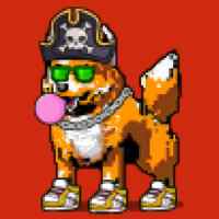 DogePunks #357